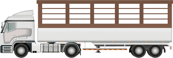 كبيرة Truck